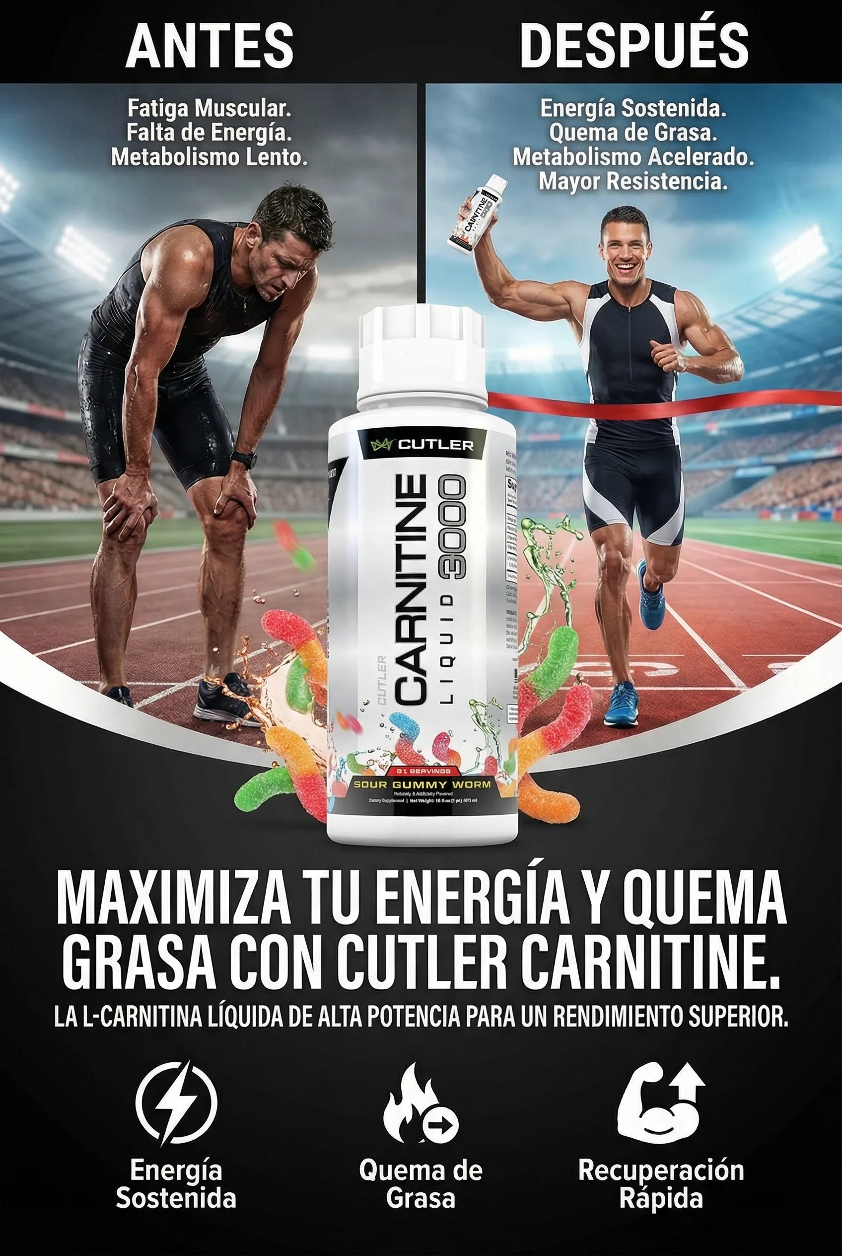 CARNITINE 3000